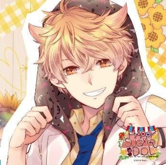 アイドルとふたりでトロけるCD「√HAPPY+SUGAR=IDOL」3rd 環