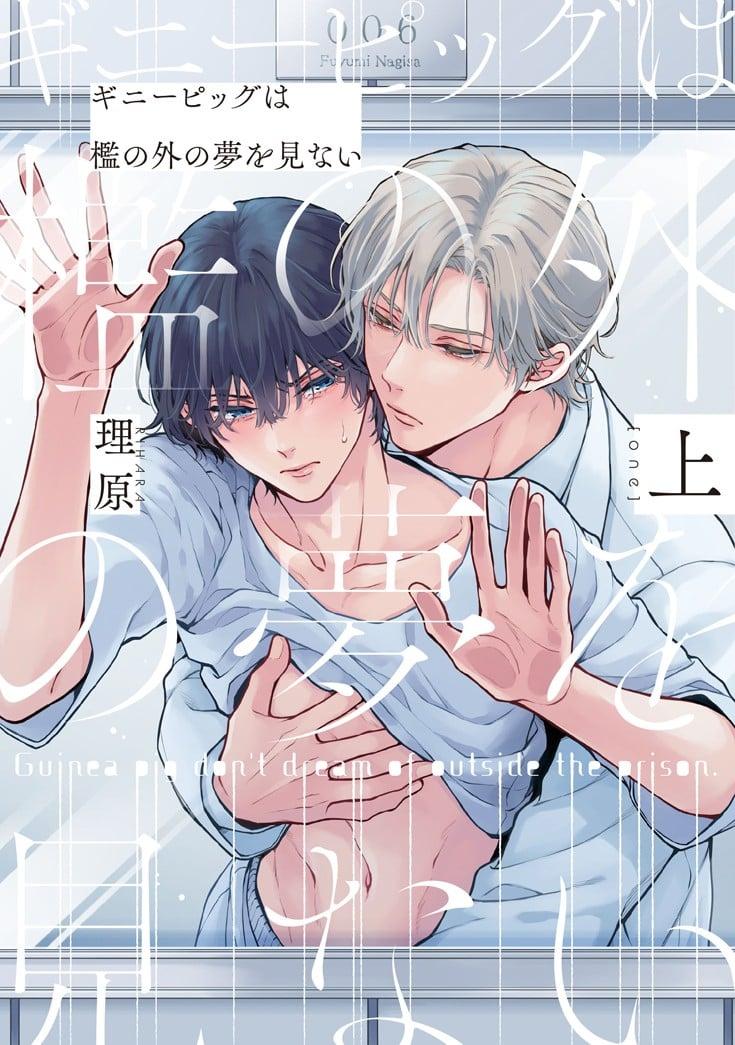 豚鼠看不见笼子外的梦想