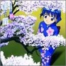 藍より青し 藍青音盤-“桜”