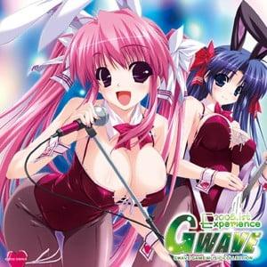 GWAVE 2008 1st Experience