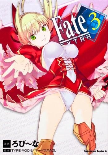 フェイト/エクストラ (3)