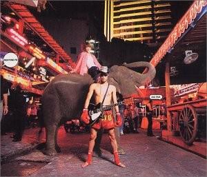 COWBOY BEBOP Knockin’ on heaven’s door Ask DNA