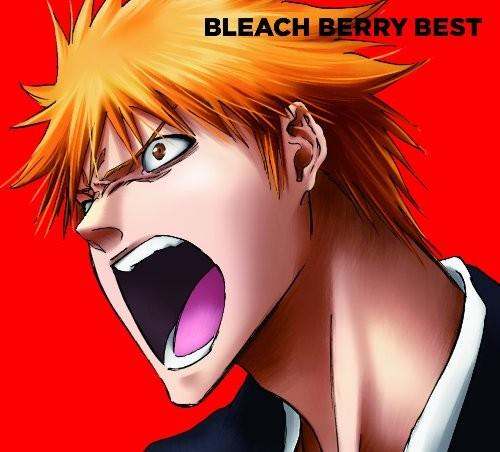 BLEACH BERRY BEST